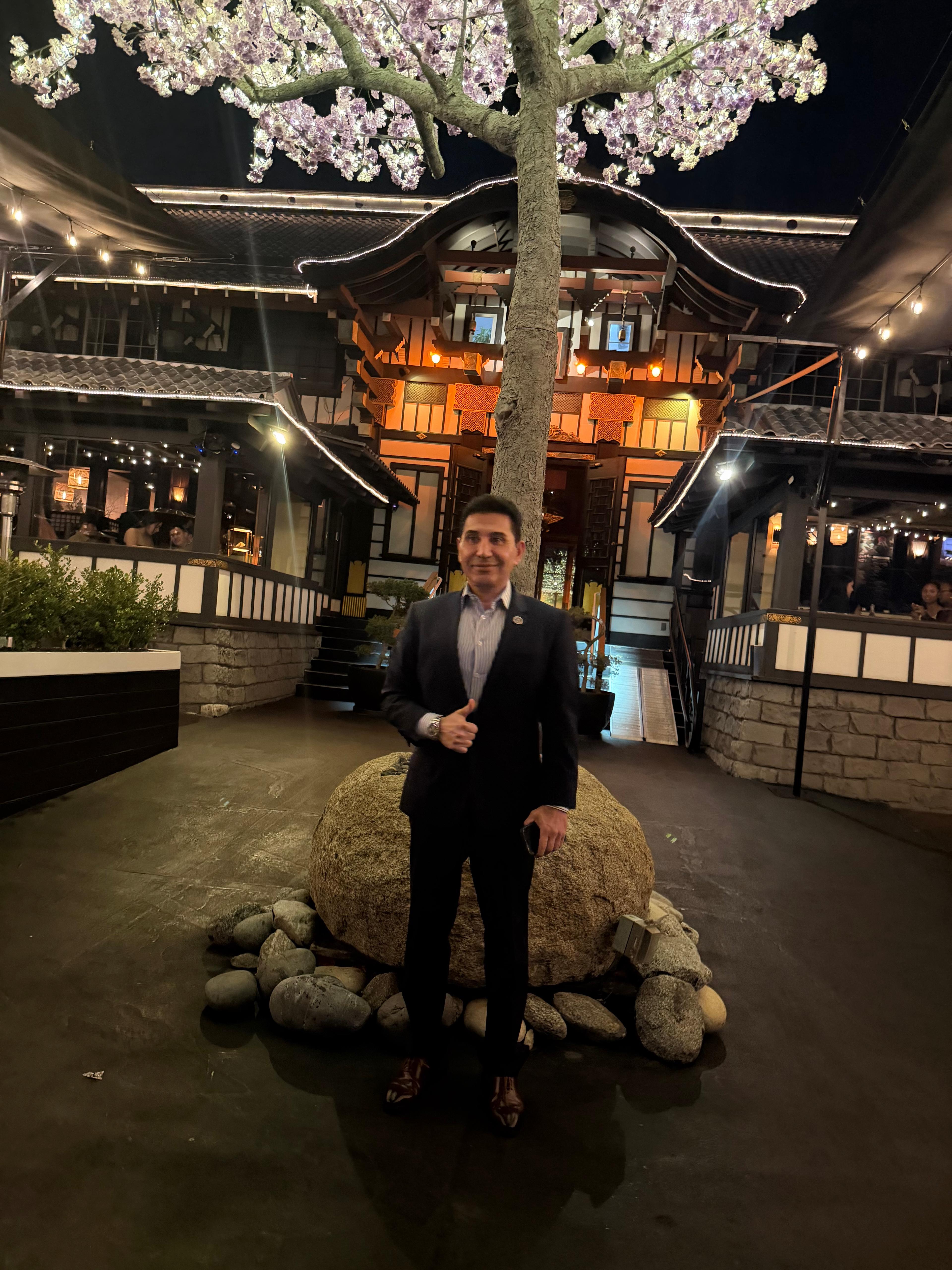 Prince Fred at illuminated Japanese garden under cherry blossom tree